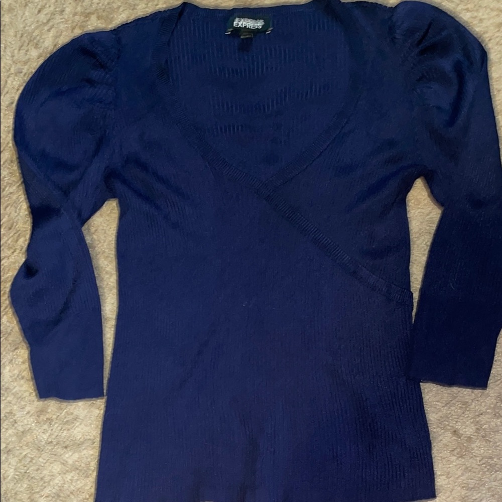 Express Blue V-Neck Sweater with Slim Fit